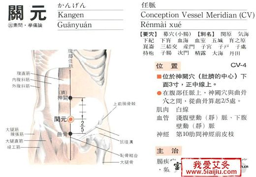 點擊將在新窗口查看全圖 五種肥胖的中醫(yī)艾灸減肥新方法【附圖文】